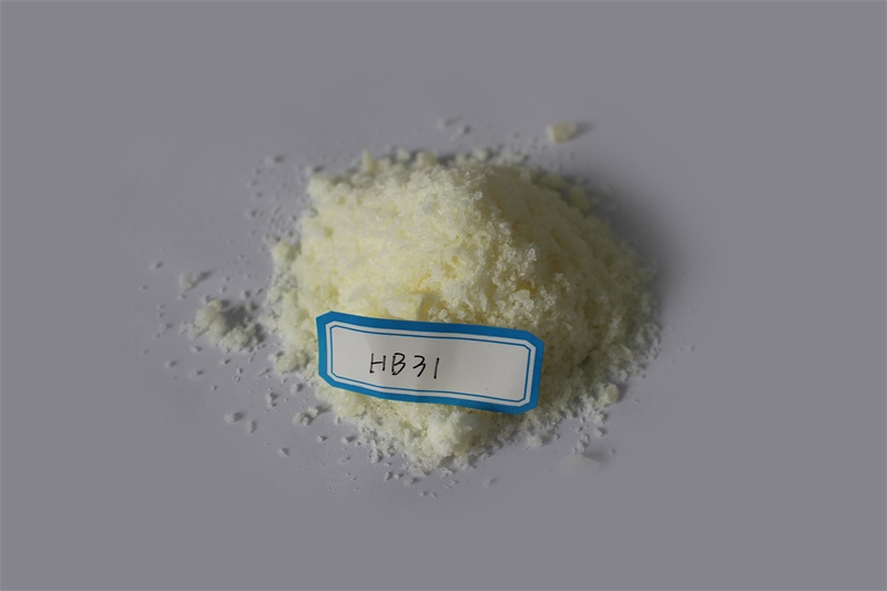 HB31