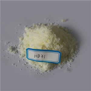 HB31